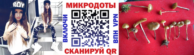 Псилоцибиновые грибы ЛСД  Чистополь 